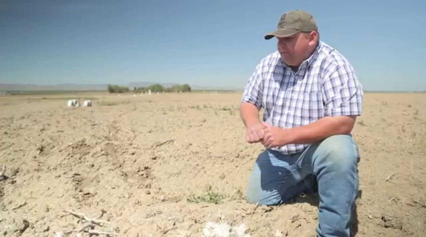 Solar Desalination Saves Cropland in California's Central Valley