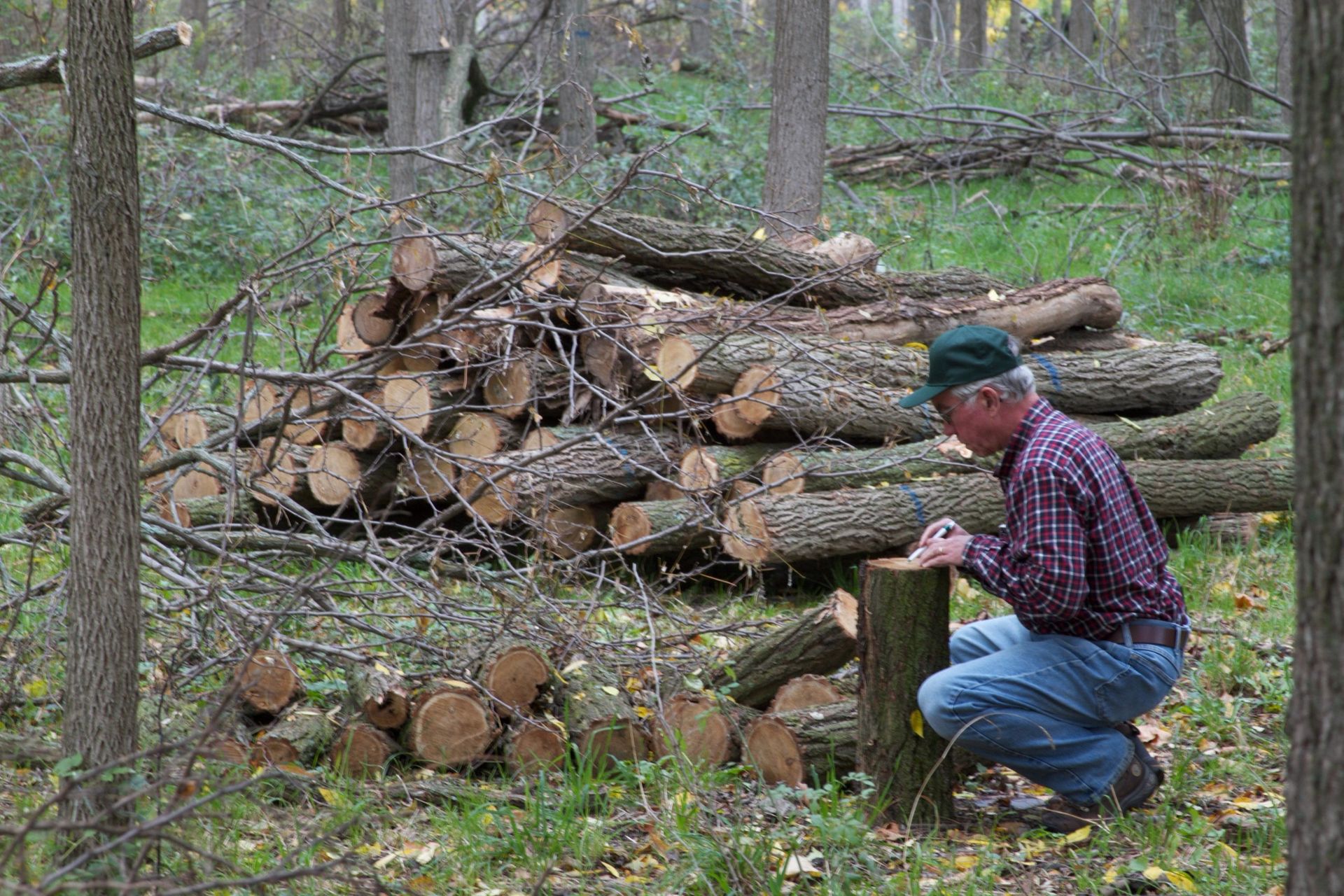 WholeTrees® Structures and Propagate Announce Partnership to Scale High-Quality Black Locust Timber for Whole-Timber Construction