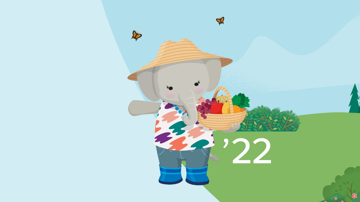Salesforce Spring '22 Release — Here's What to Expect