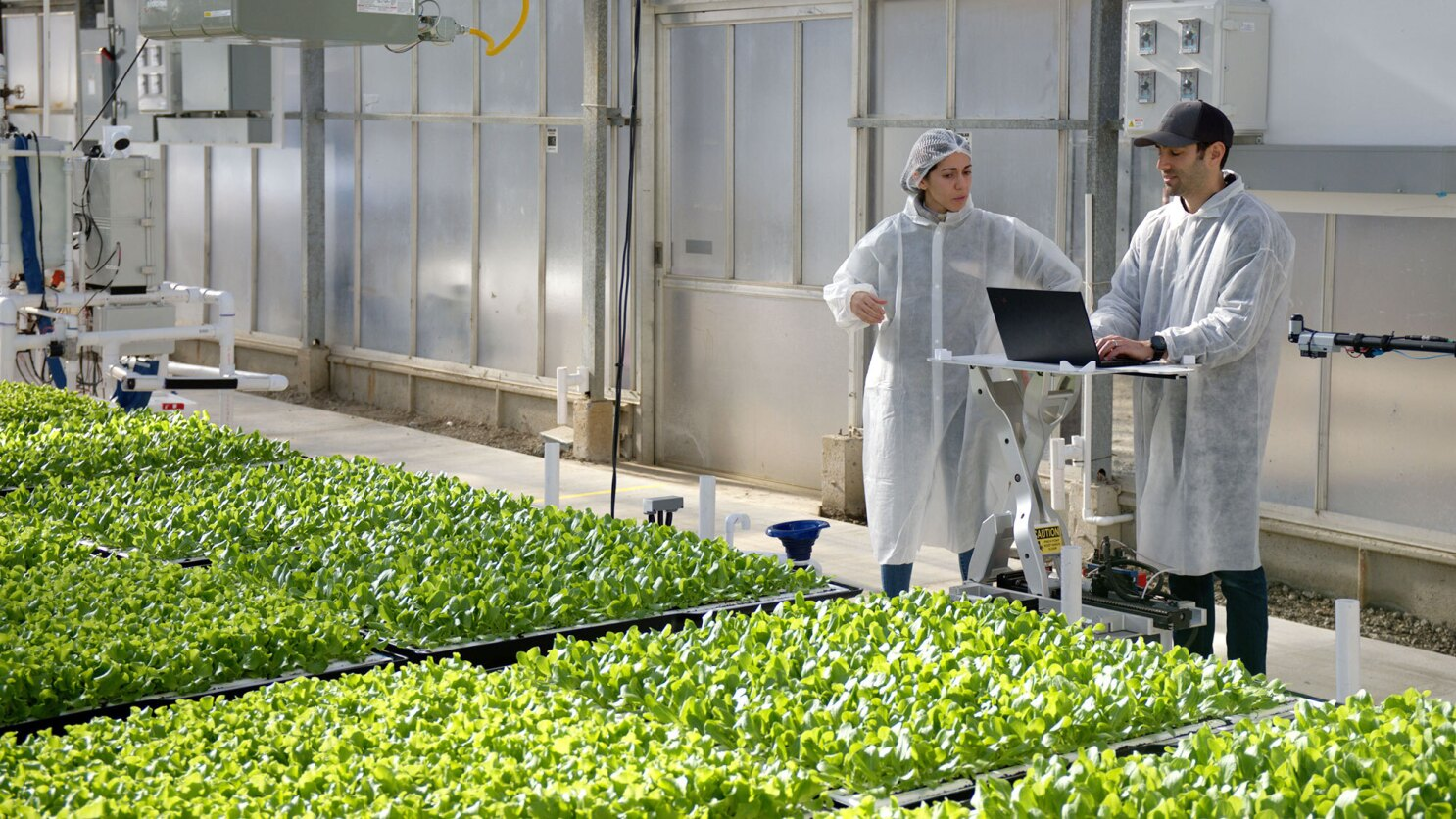 Amazon introduces Hippo Harvest's first leafy greens line, grown with 92% less water