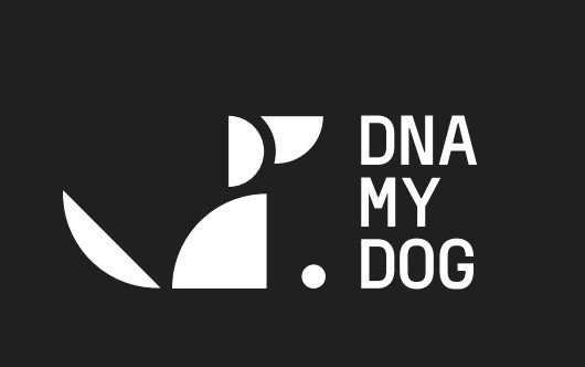 DNA My Dog Reveals: Most Dog Owners Are Wrong About What Breed Their Dog Is — And It Matters More Than They Think