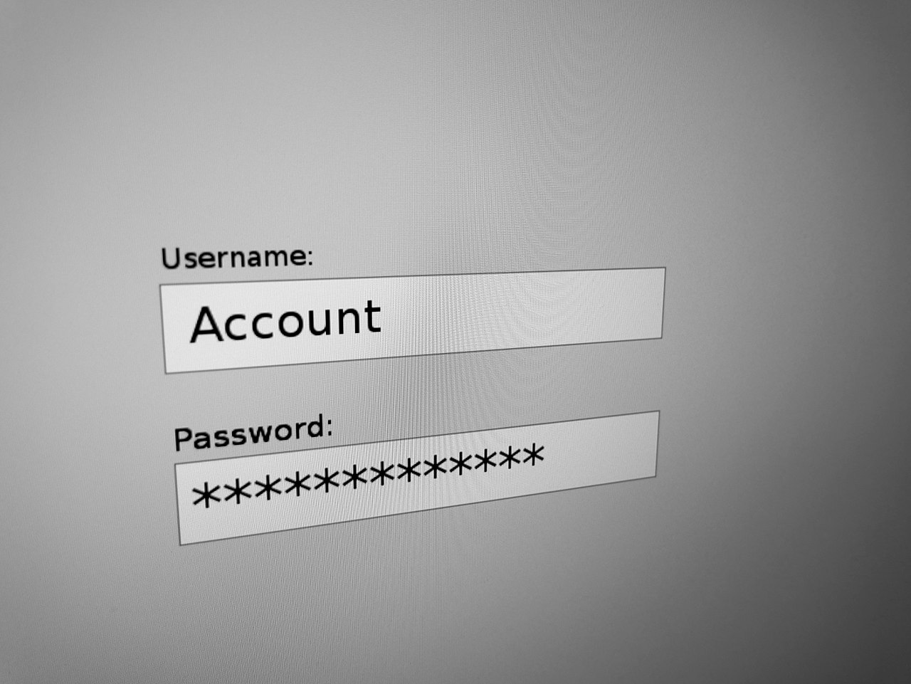 The startup helping the tech community manage passwords