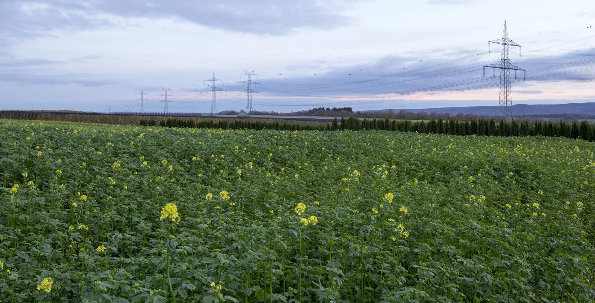 AllianzGI buys stake in German grid Amprion | Allianz Global Investors
