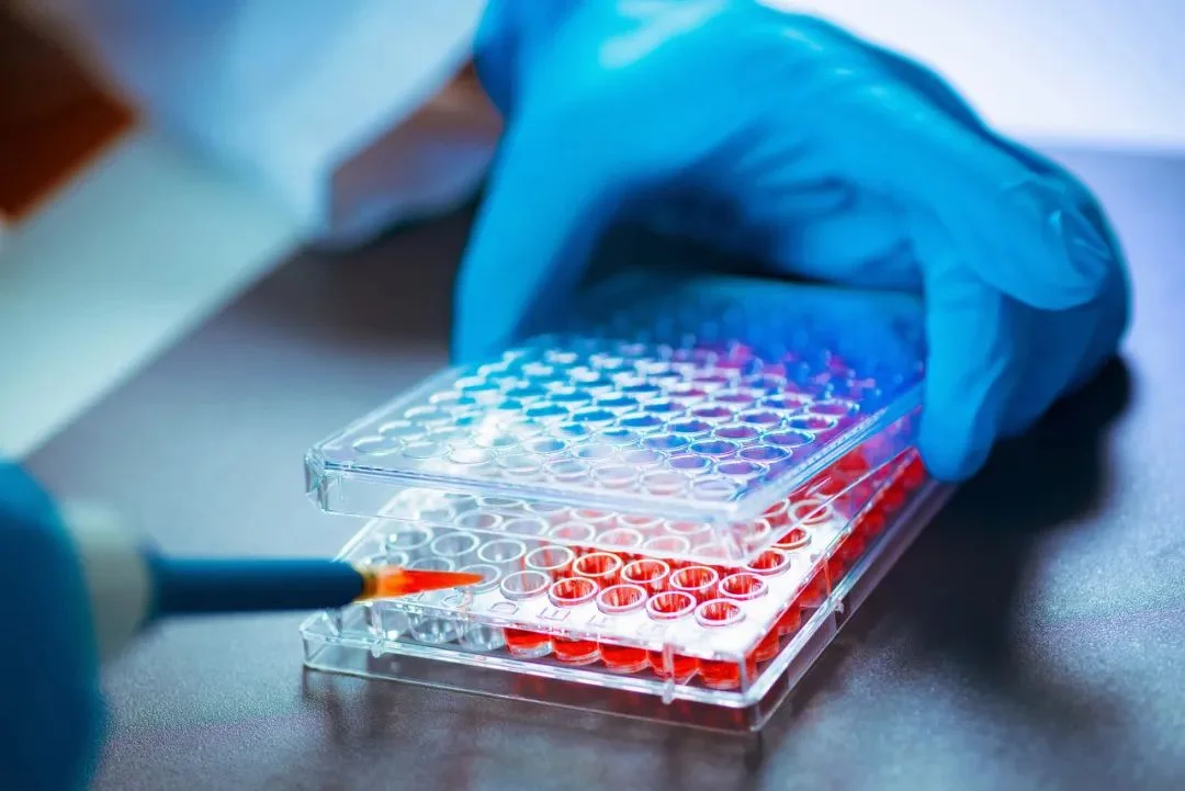 Beijing Balance Medical's Renato System Gets NMPA Approval for Valve-in-Valve Therapy
