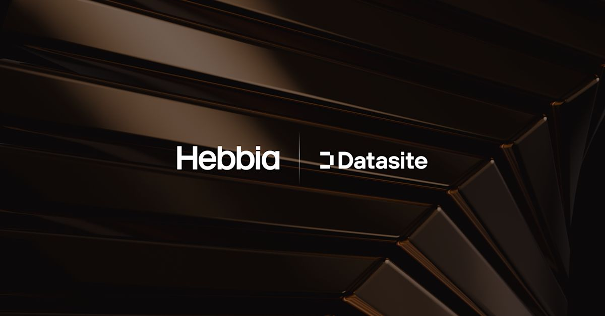 Announcing Hebbia's Partnership with Datasite