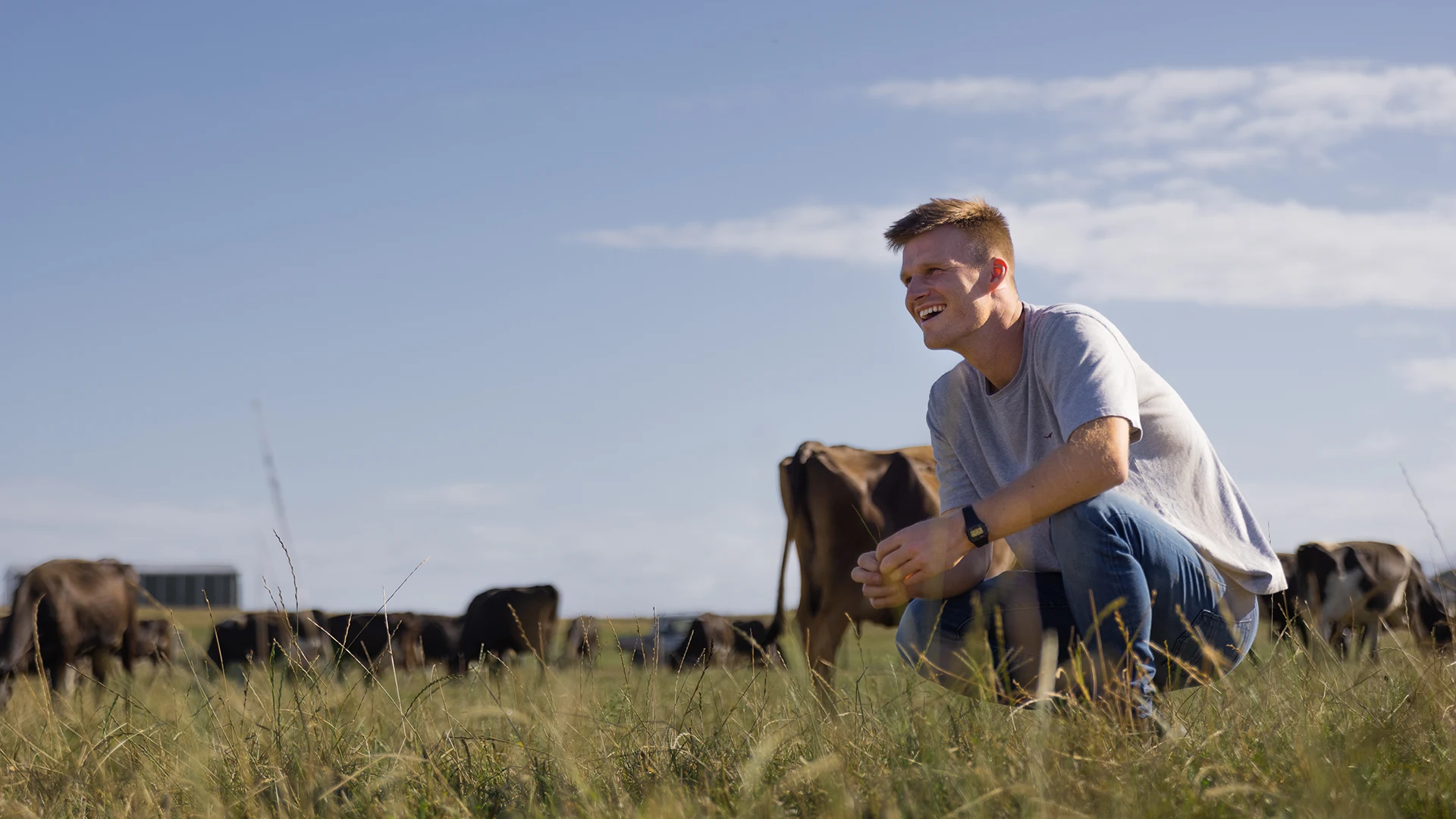 Halter to beef up US expansion following $100M raise led by BOND, $1B valuation