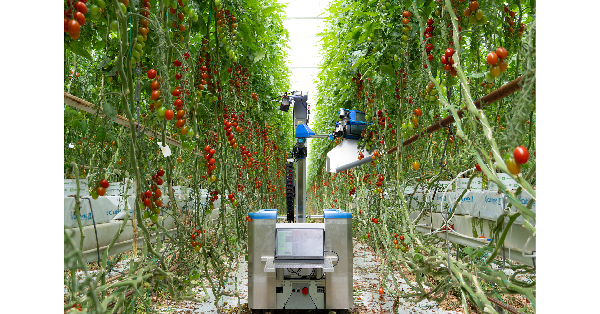 inaho's tomato harvesting robot is being tested and received fees from Dutch growers. Actively looking for partner growers toward commercialization