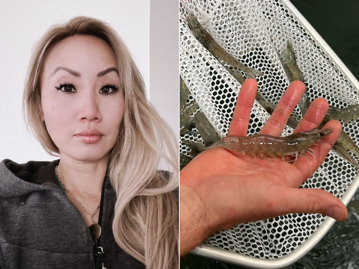 I toured a farm that ethically harvests shrimp, and it taught me how gross seafood production is. Here's a look inside.