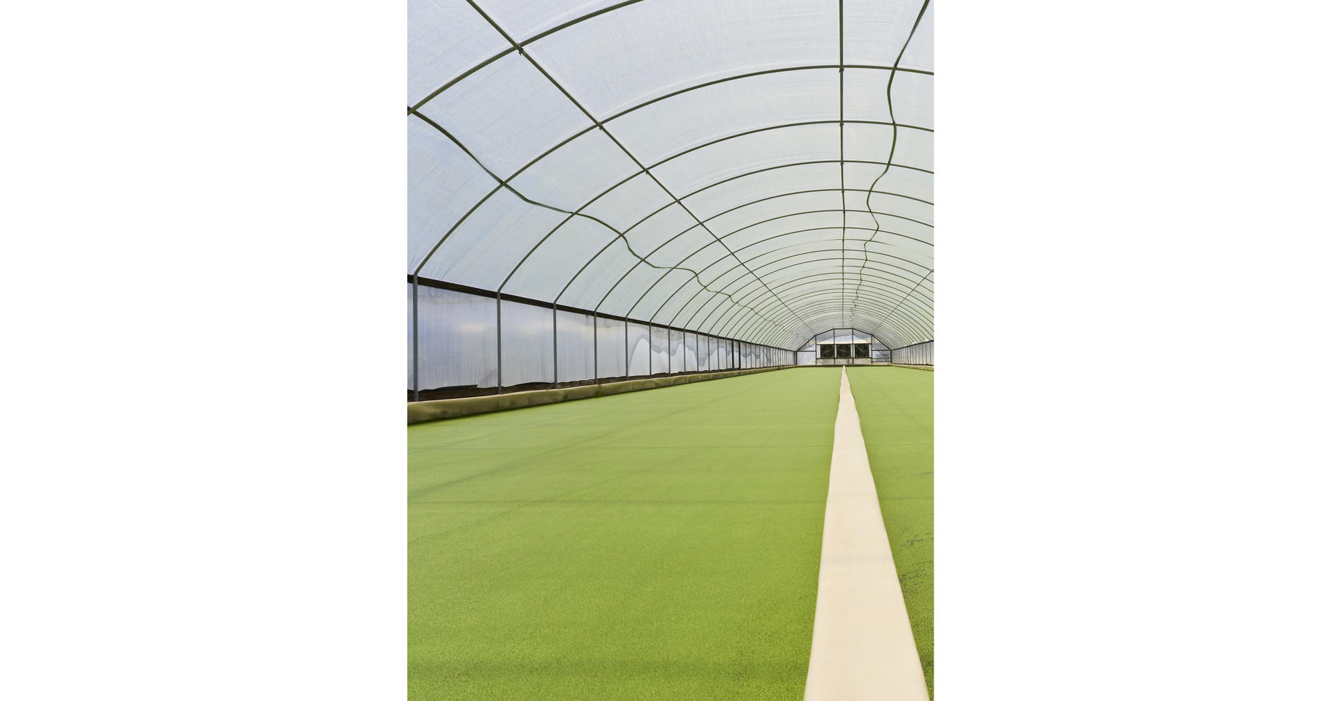Chipotle Cultivate Next Fund Invests in Aquatic Plant-Based Technologies