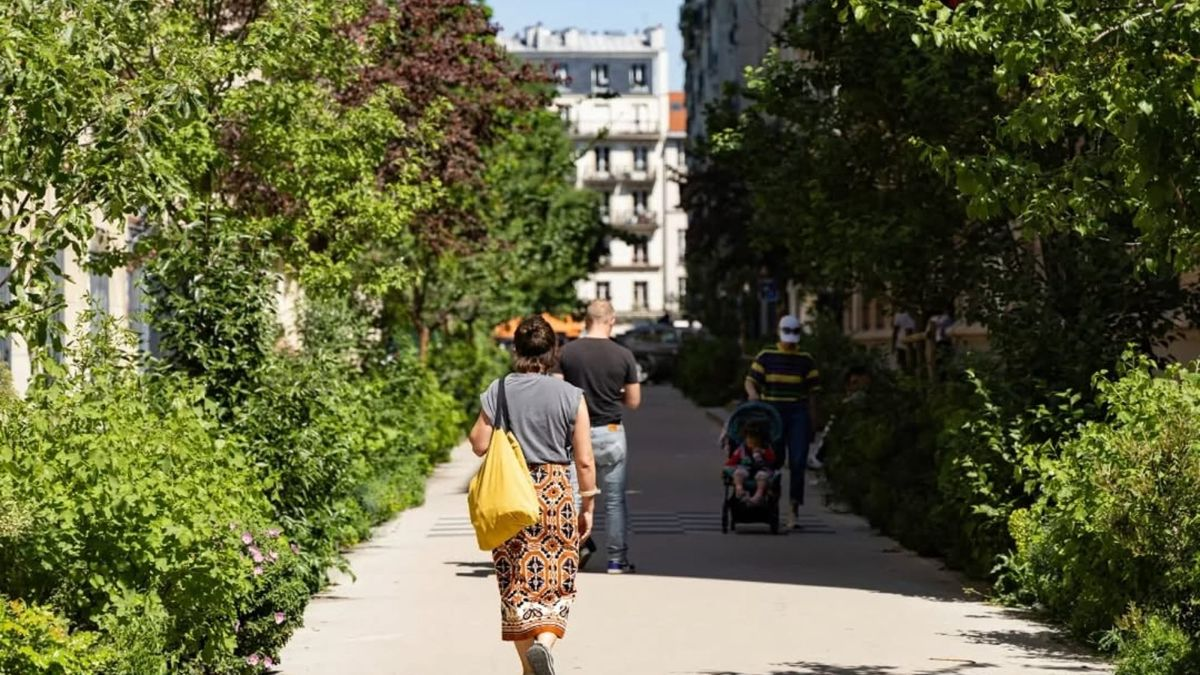 Cities need trees to survive the heat