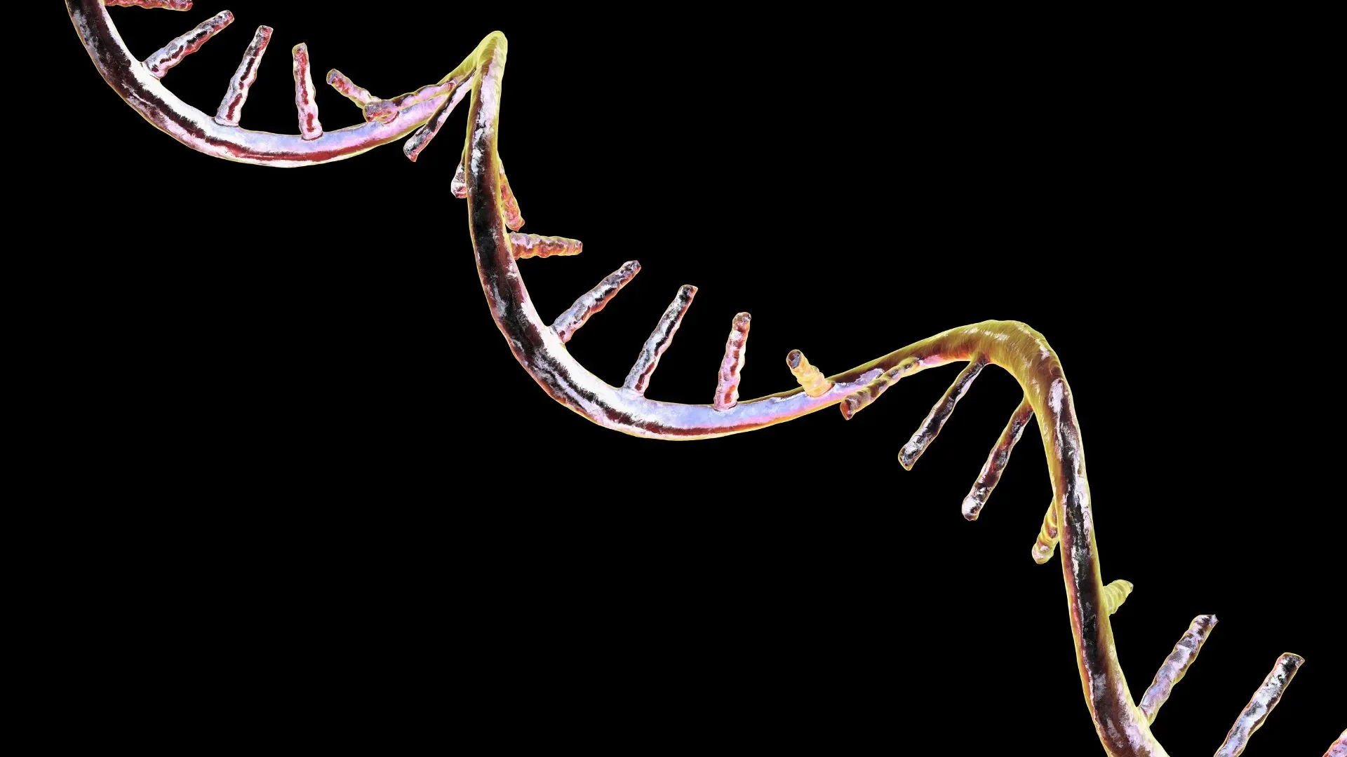 Estonian Company Chemestmed Develops RNA-Based Drug Candidates to Combat Severe Diseases