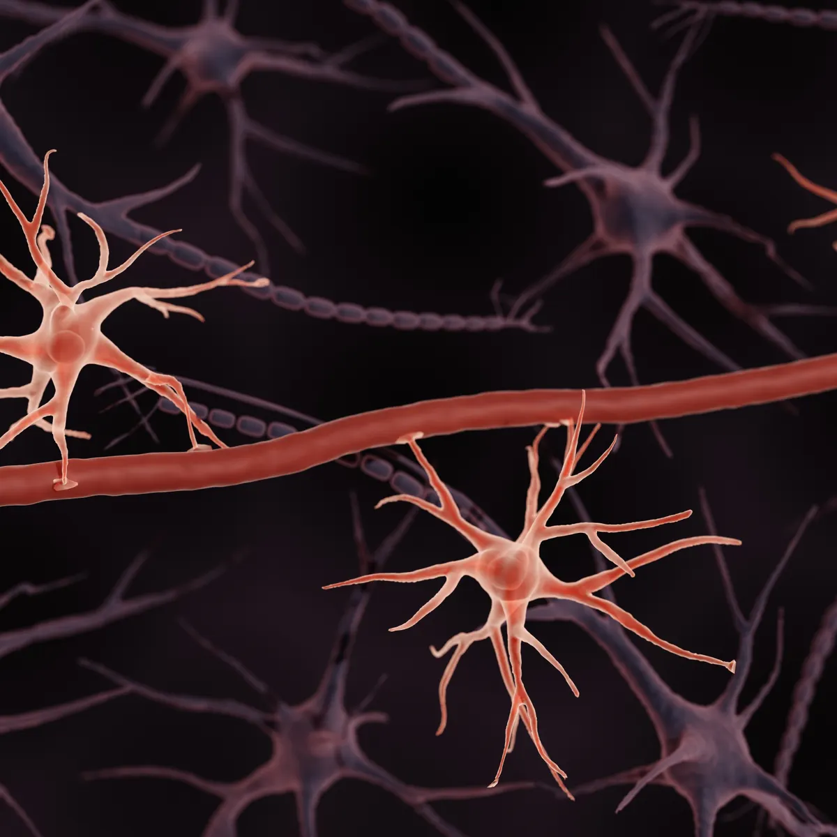 Nura Bio gets $68M, new CEO to advance neuroprotective brain drugs