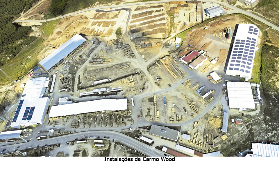 Portuguesa Carmo Wood aposta na investigação e sustentabilidade