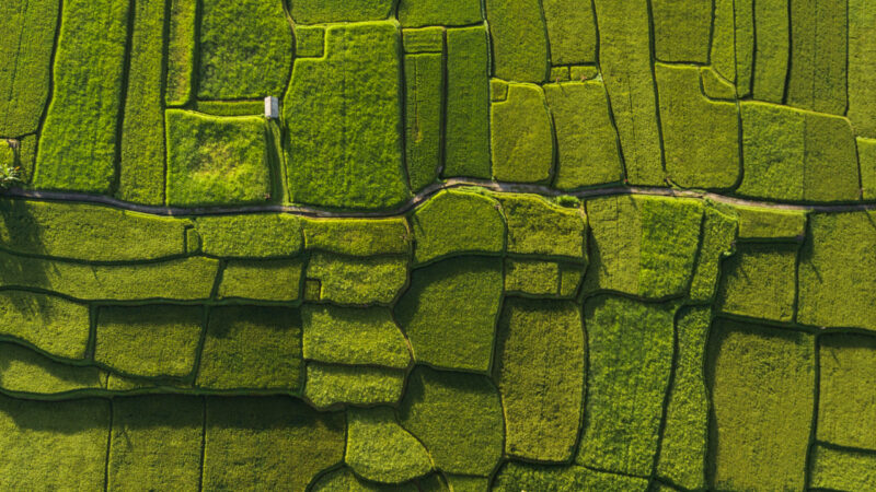 Puro.earth Launches Environmental Attributes Registry, starting with Agricultural Carbon Intensity