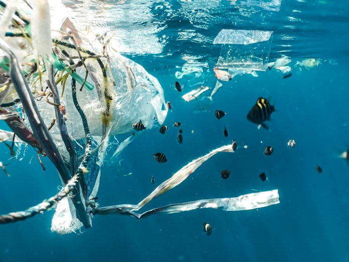 Enduring Planet scores $5m in debt and equity