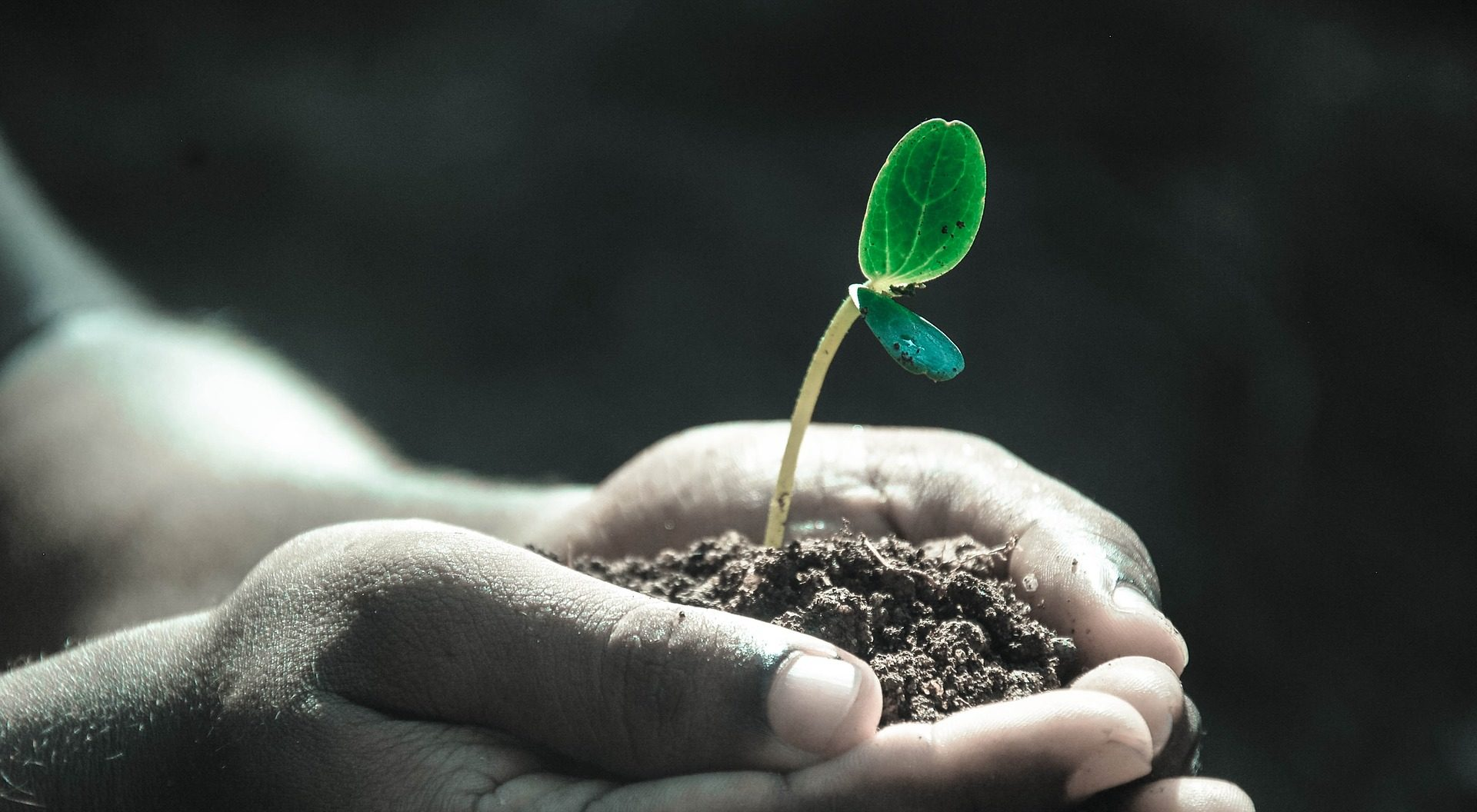 The Live Green Co raises $7M to set up US headquarters