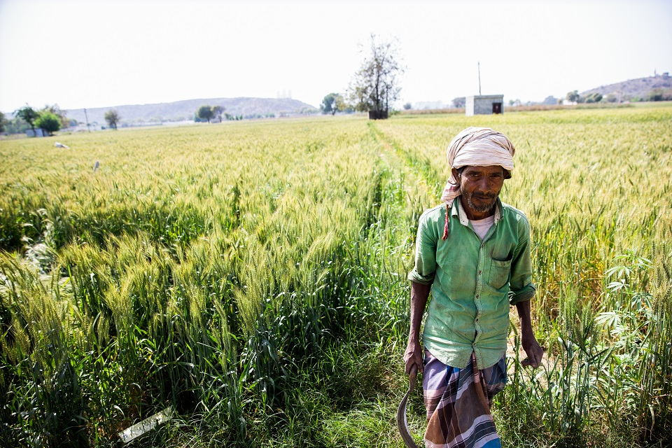 Microsoft and Accenture welcome Project Amplify’s third cohort of social impact startups