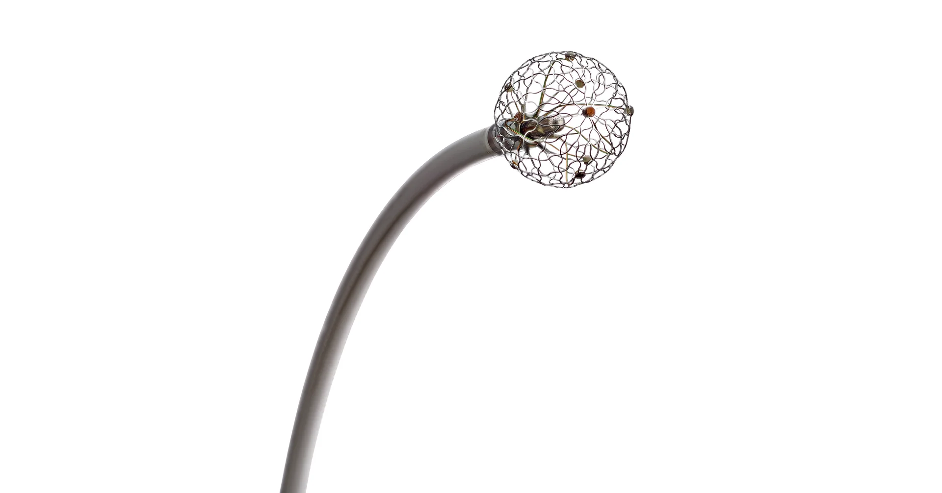 Medtronic completes enrollment in pivotal trial evaluating first-of-its-kind pulsed field ablation catheter for patients with atrial fibrillation