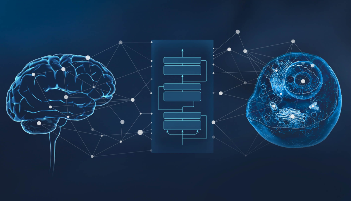 CZI Launches rBio, an AI Model for Biomedical Reasoning