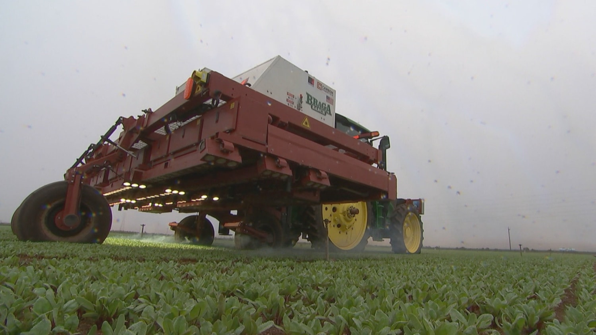 AI meets agriculture with new farm machines to kill weeds and harvest crops