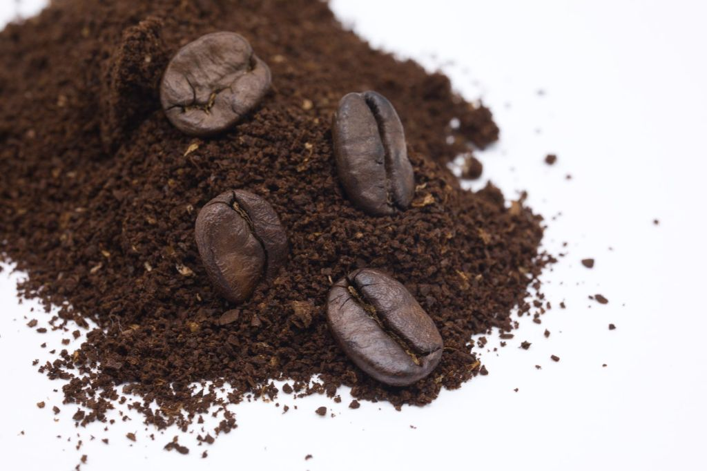 From Bean to Beauty: The Rise of Upcycled Ingredients at Caffè Inc