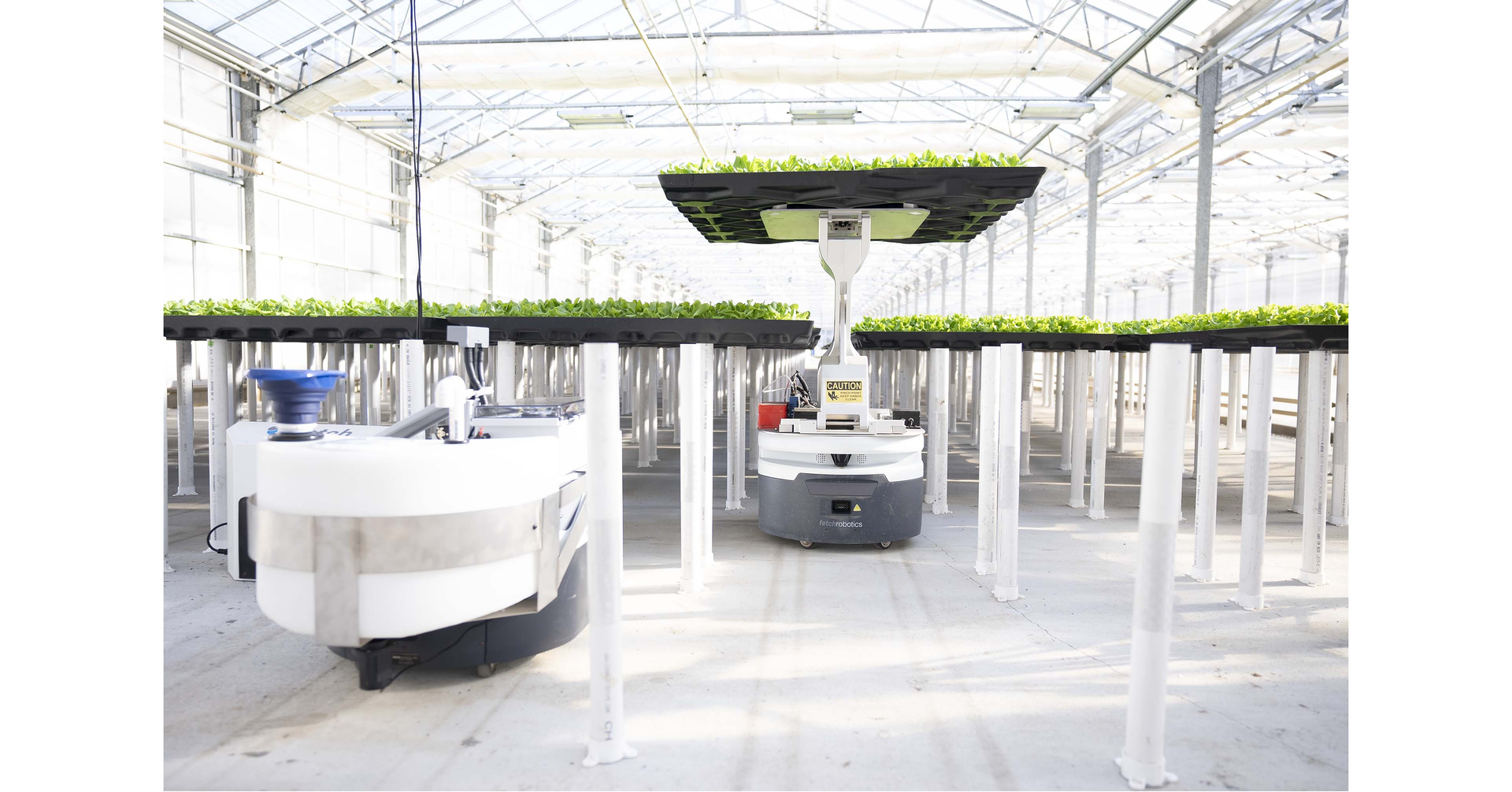Hippo Harvest Closes $30 Million Series C Led by Cox Farms