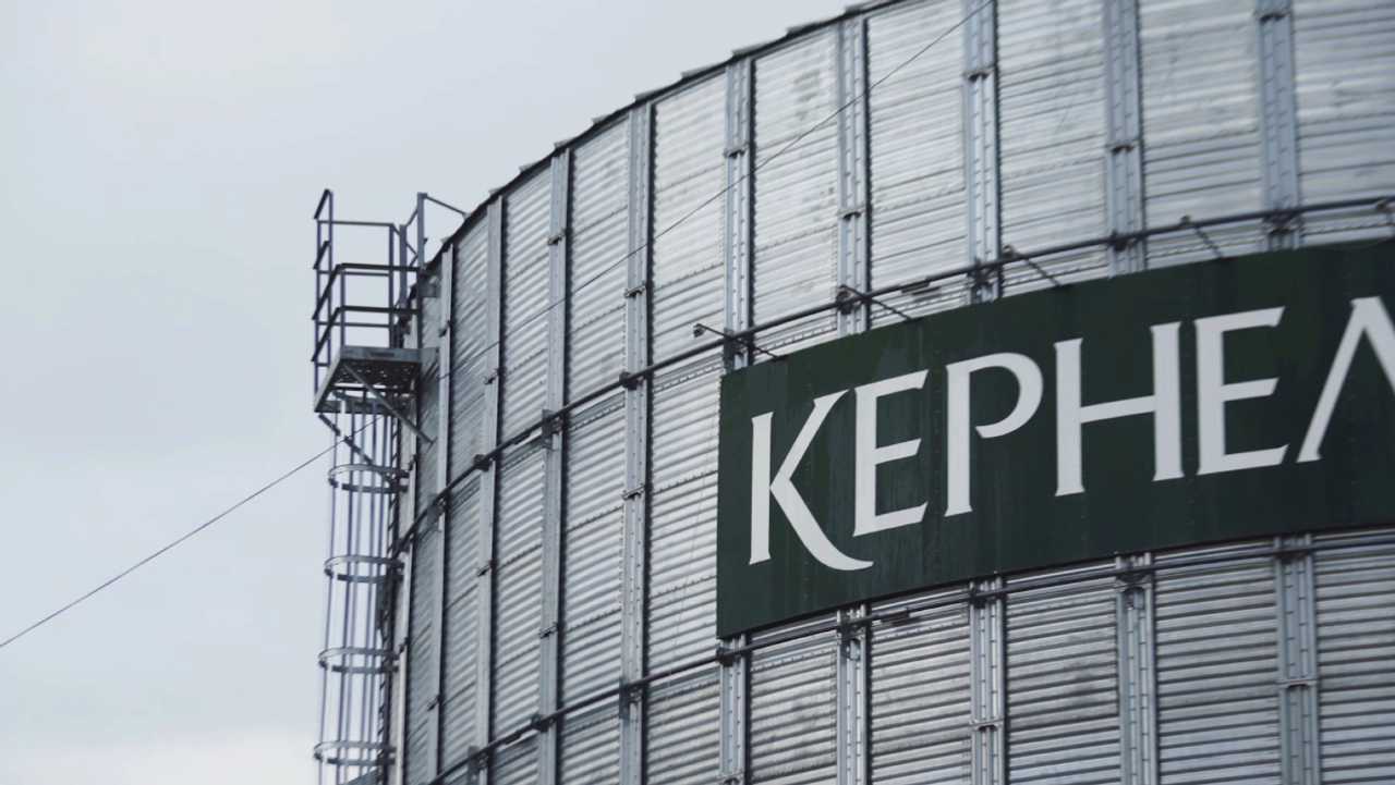 Russian attacks on Black Sea ports cut Kernel’s edible oil sales by 48%