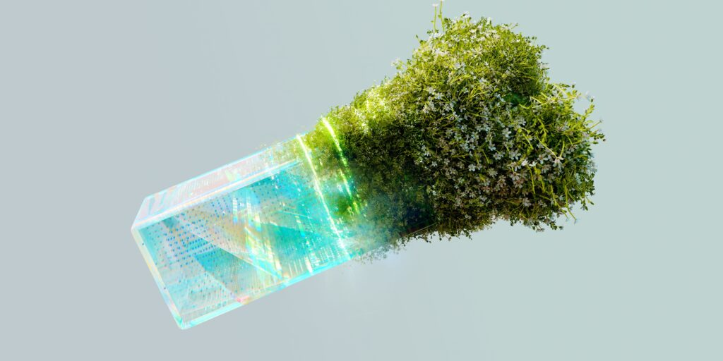 Automaise Develops a More Sustainable AI Platform Backed by Portugal 2030
