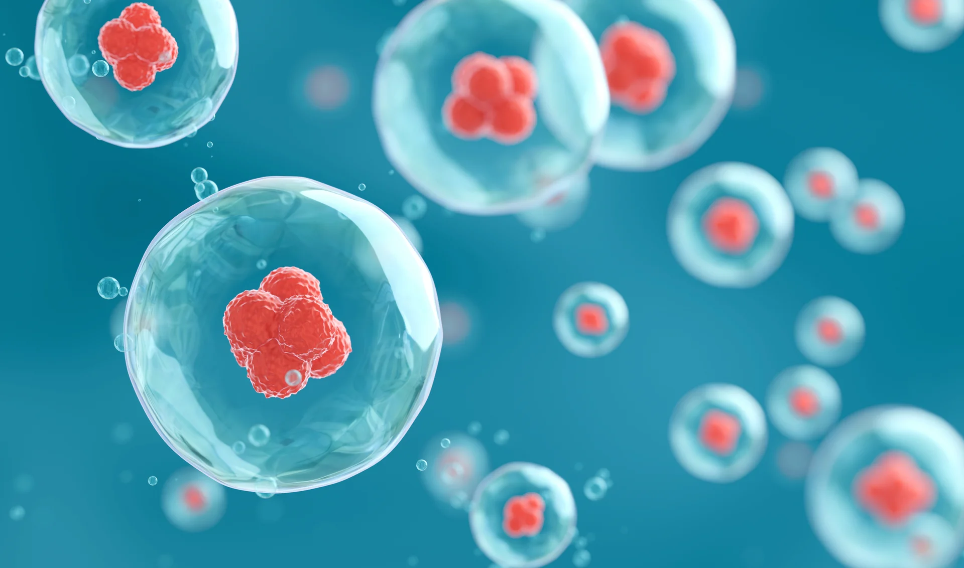 Moleculent’s Early Access Program Tests Its Cell-Cell Mapping Tech on Immuno-Oncology