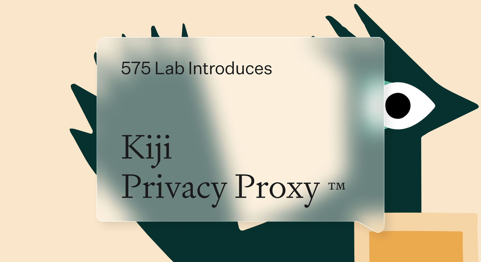 Dataiku Launches Kiji Privacy Proxy