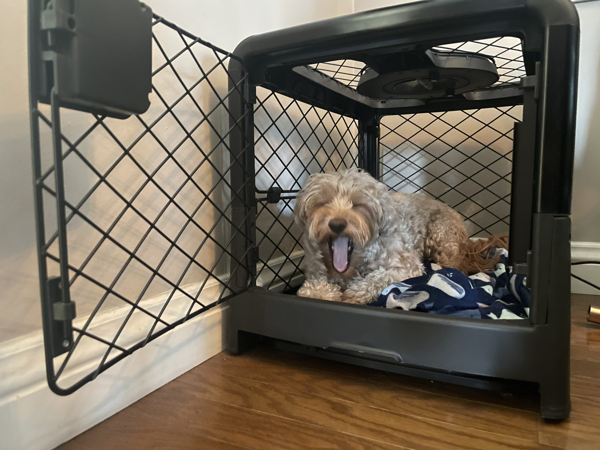 Dog crate comparison guide. What's the best dog crate?