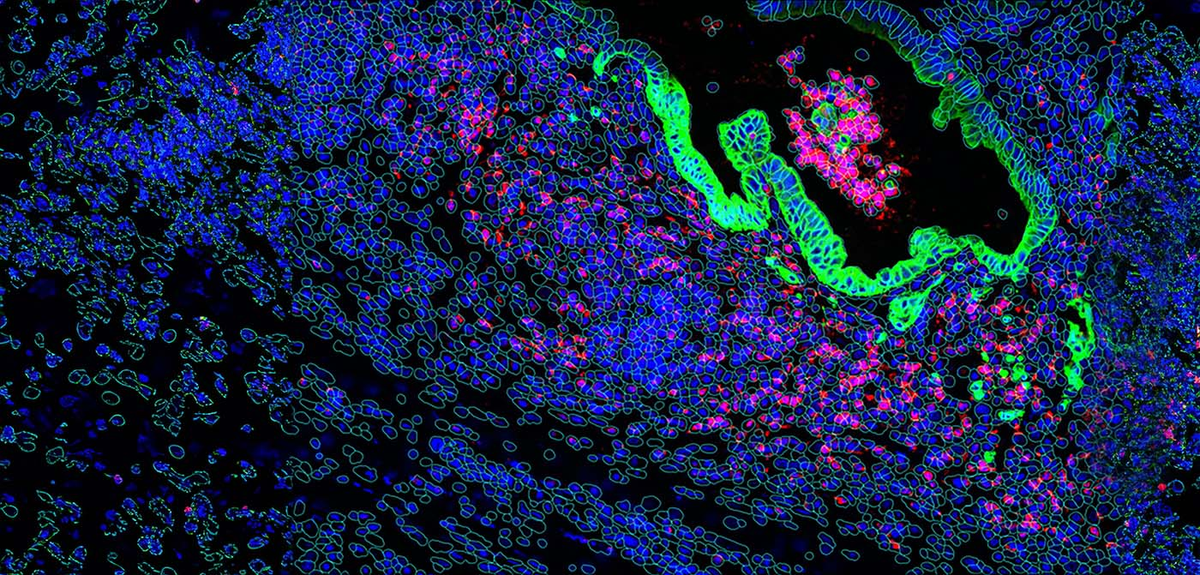 Top 10 Spatial Biology Companies of 2024