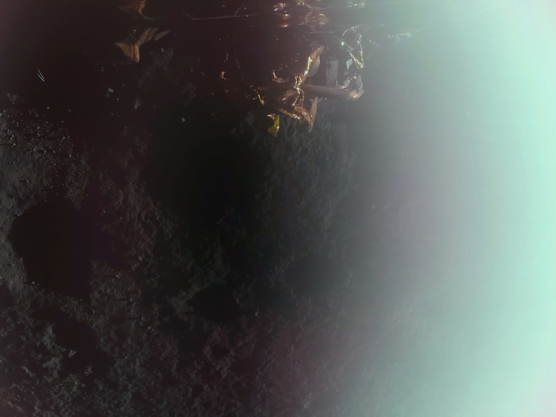 Firefly Aerospace Becomes First Commercial Company to Successfully Land on the Moon