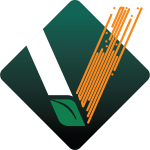 V2Soft logo