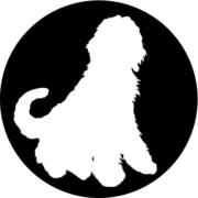 Incredible Tiny Homes logo