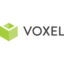 Voxel