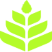 Wollemi logo