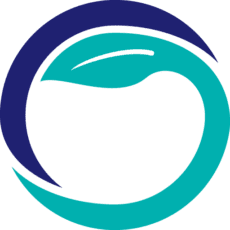TechnoServe logo