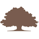 Texas Traditions Bank logo