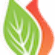 VerdEnergy logo