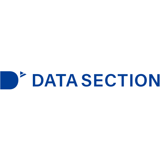 Datasection logo