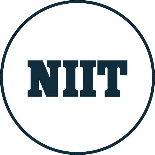 NIIT Learning Systems logo