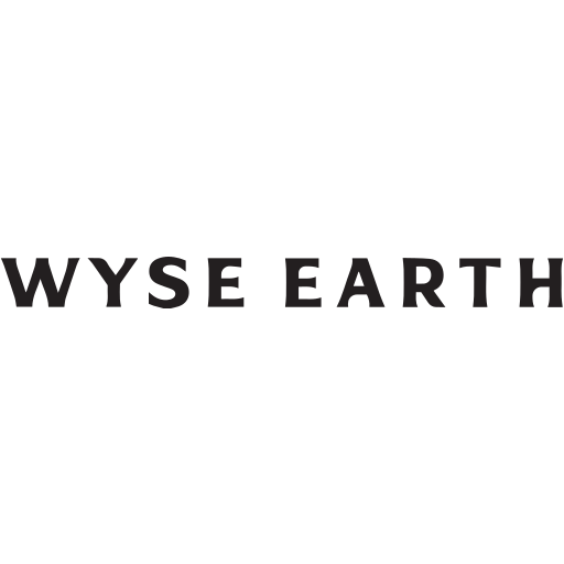 Wyse Earth logo