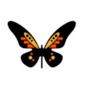 Afig Funds logo