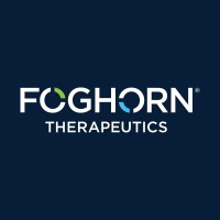 Foghorn Therapeutics logo