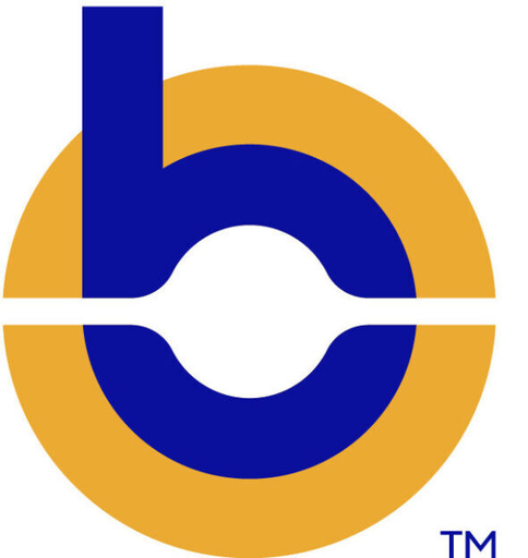 Bluepeak logo