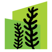 SeaLumber logo