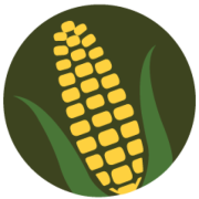 Federated Bank logo