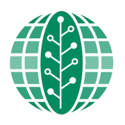 Sesi Technologies logo