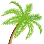 Palm Acres Charter High School logo